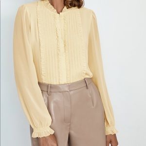 Aritzia Babaton Fiji blouse